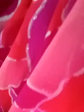 kittu0987 online show from 02-09-26, 05:00