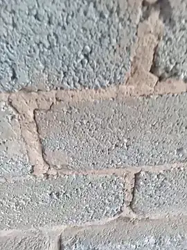 Snapshot of KingBonga chatting on 10-17-25, 04:37 KingBonga online show from 10-17-25, 04:37