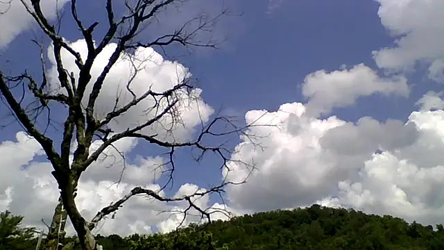 ovmilf online show from 08-05-26, 04:54