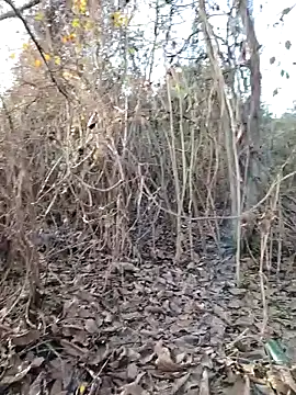 Prince-sexy online show from 12-21-25, 02:13