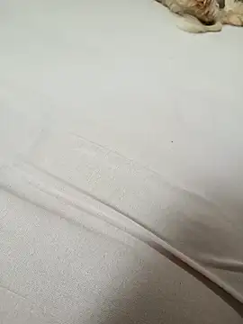 SIGILOCUIABA online show from 01-17-26, 01:49