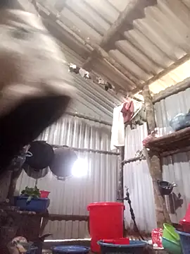 jienrrr online show from 12-17-25, 12:16