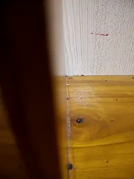 daisylouis online show from 03-24-26, 02:49