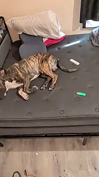 Cnutt310 online show from 03-02-26, 12:02