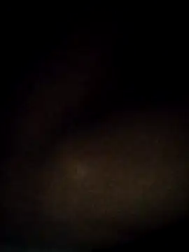 t2pnb online show from 12-03-25, 12:18