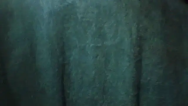 pietje1991 online show from 02-28-26, 03:46