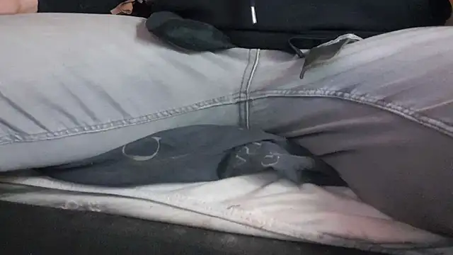 pietje1991 online show from 04-24-26, 12:02