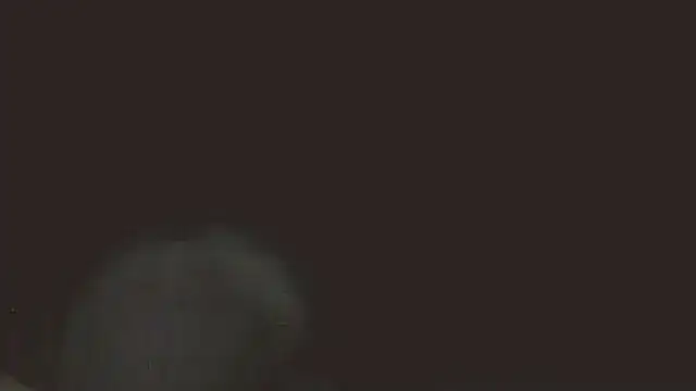 Snapshot of pietje1991 chatting on 05-16-26, 11:36 pietje1991 online show from 05-16-26, 11:36