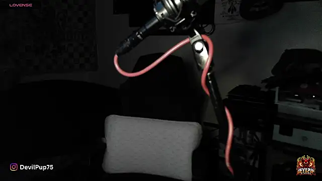 Snapshot of DevilPup75_ chatting on 01-18-26, 02:59 DevilPup75 online show from 01-18-26, 02:59