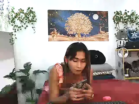 youarea dreamer online show from 04-06-26, 05:14