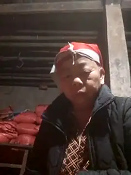 VangLe73 online show from 11-23-25, 08:08