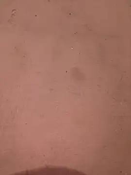 sakshi5533 online show from 11-28-25, 07:27