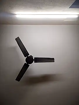 Devi-with-Ram online show from 12-03-25, 07:38