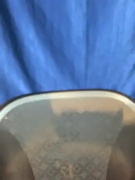 Rashi-48 online show from 11-17-25, 06:03