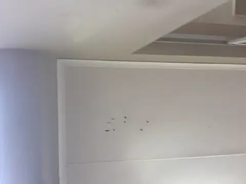 sex-machanic online show from 11-28-25, 03:31