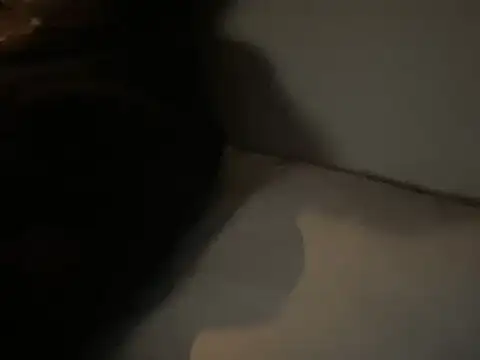 dddasani online show from 12-15-25, 06:45