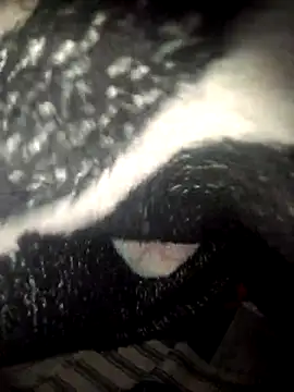 fantasma667 online show from 12-01-25, 12:21