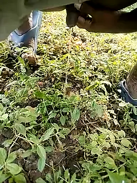 BlackhorseBBC online show from 10-14-25, 02:01