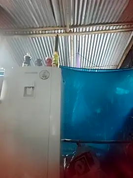 Lily-o online show from 11-22-25, 10:42