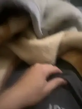 zackria online show from 12-20-25, 12:29