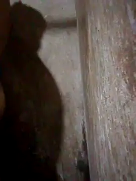 Lujor online show from 04-11-26, 07:18