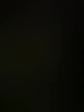 tashaninlife online show from 03-24-26, 12:04