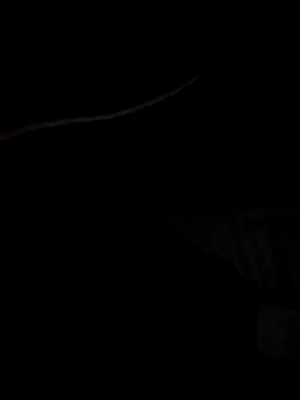 Snapshot of Xharmakesyoufeelorgasms chatting on 10-19-25, 12:11 Xharmakesyoufeelorgasms online show from 10-19-25, 12:11