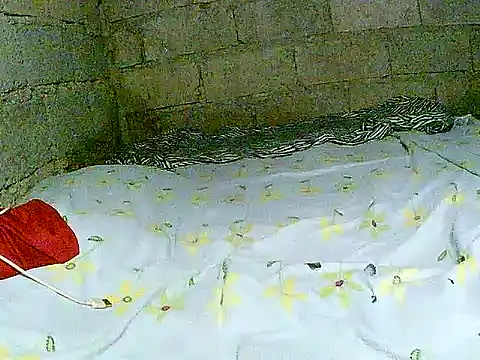 hotmom pinay online show from 12-01-25, 02:05