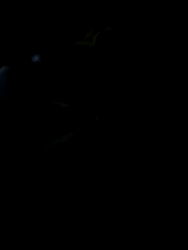 Snapshot of Reeelo chatting on 11-19-25, 05:57 Reeelo online show from 11-19-25, 05:57