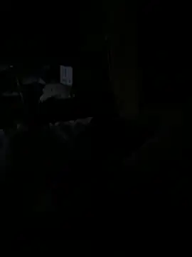 Snapshot of Reeelo chatting on 12-15-25, 04:06 Reeelo online show from 12-15-25, 04:06