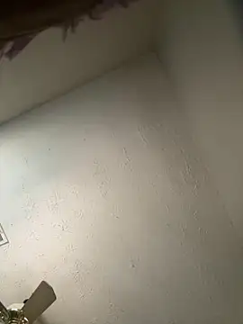 honestlychina online show from 10-03-25, 01:52