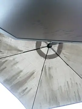 Sallem Pink online show from 04-04-26, 11:18