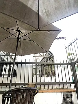 Sallem Pink online show from 04-20-26, 11:13