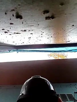 Snapshot of Pamaferto chatting on 03-30-26, 09:16 Pamaferto online show from 03-30-26, 09:16