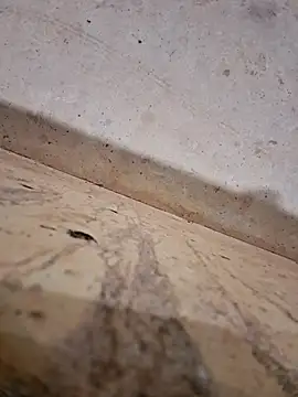 Snapshot of Negodabenga chatting on 12-14-25, 12:27 Negodabenga online show from 12-14-25, 12:27