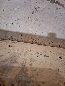 Snapshot of Negodabenga chatting on 12-17-25, 11:33 Negodabenga online show from 12-17-25, 11:33