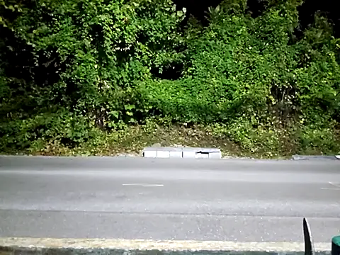 Snapshot of sloppytopkins chatting on 09-15-25, 06:35 sloppytopkins online show from 09-15-25, 06:35