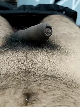 Bull54321 online show from 09-19-25, 04:47