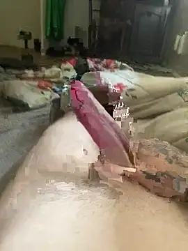 lsksokswjwjbshsjshs online show from 03-14-26, 09:42