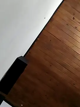 Snapshot of Rodrigo99_9 chatting on 04-08-26, 03:23 Rodrigo99 9 online show from 04-08-26, 03:23