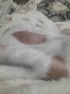 Snapshot of ratoncito_3 chatting on 01-16-26, 05:50 ratoncito 3 online show from 01-16-26, 05:50