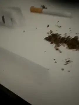 evawx9 online show from 03-19-26, 06:12