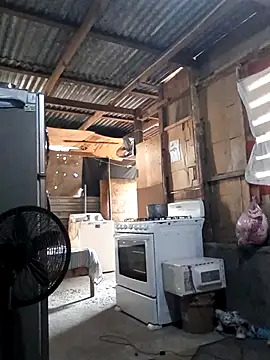 Steehood online show from 11-20-25, 02:50