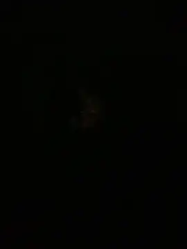 amitsharma7868 online show from 04-20-26, 04:10