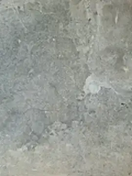 ngocngoc cute online show from 02-24-26, 02:20