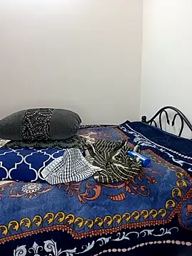 Chadni kannada online show from 02-28-26, 04:52