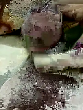 Zepe 12 online show from 03-22-26, 08:12