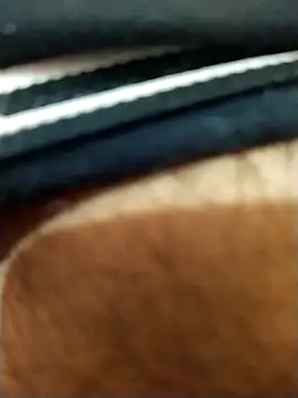 Snapshot of 8inches_DelhiBOY chatting on 11-17-25, 05:13 8inches DelhiBOY online show from 11-17-25, 05:13