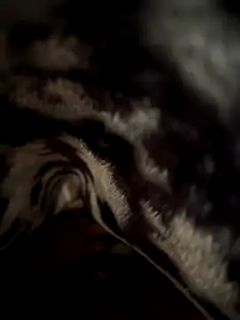 Snapshot of jackyw chatting on 11-21-25, 06:12 jackyw online show from 11-21-25, 06:12