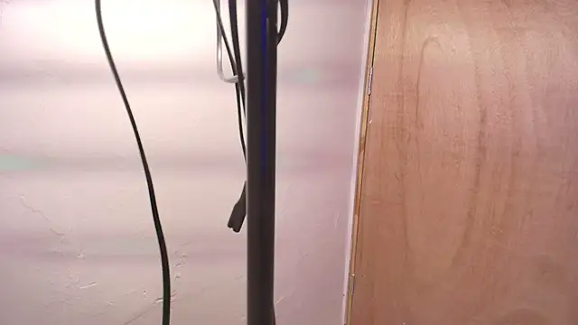 Terraelowen online show from 02-22-26, 11:31